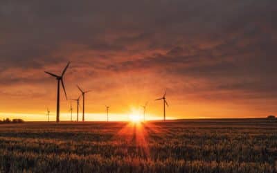 Driven International publishes first Sustainability Annual Report